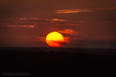 Nakbe-2204038219-sunset