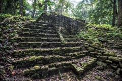 Palenque-2203023954-TemploXXI